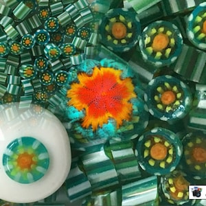 Caribbean Crush COE104 Murrini  Murrine Millefiore