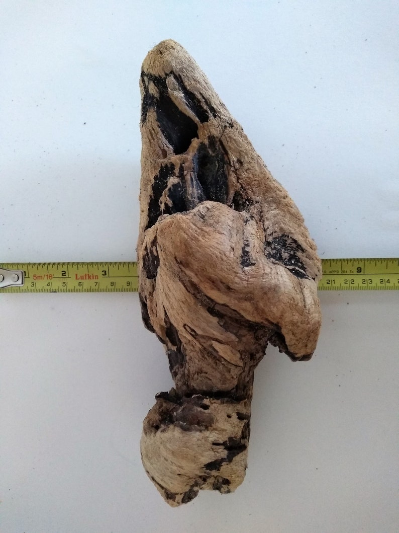 Large Drift Wood Piece DIY Drift Wood Rare Drift Wood