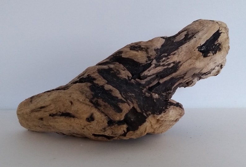 Large Drift Wood Piece DIY Drift Wood Rare Drift Wood