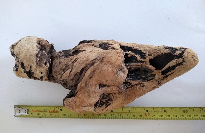 Large Drift Wood Piece DIY Drift Wood Rare Drift Wood