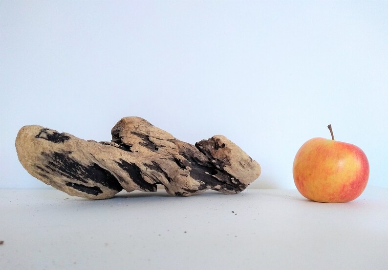 Large Drift Wood Piece DIY Drift Wood Rare Drift Wood