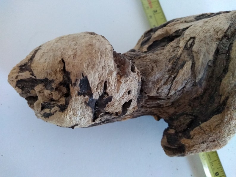 Large Drift Wood Piece DIY Drift Wood Rare Drift Wood