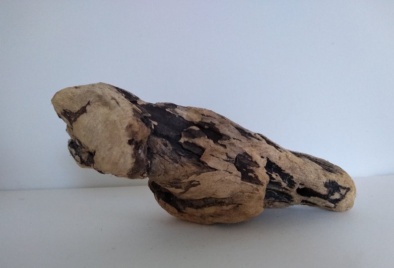 Large Drift Wood Piece DIY Drift Wood Rare Drift Wood
