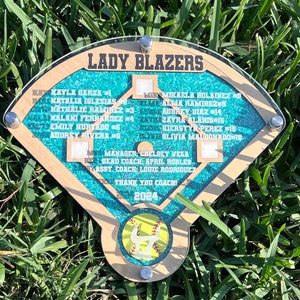 Softbalplaquette, honkbalplaquette, cadeau coach, cadeau coach, waardering coach, waardering team, cadeau einde seizoen