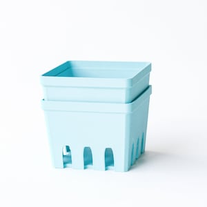 May include: Two pale blue square berry baskets stacked. Each basket has a rectangular shape, a raised rim, and vertical slots on the sides. The background is plain white.