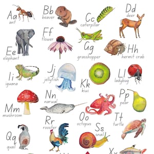 Animali e oggetti della natura, Alfabeto, Acquerello, FILE DIGITALI, POSTER, Risorse didattiche naturali, Decorazioni murali per la scuola domestica, Poster dell'alfabeto