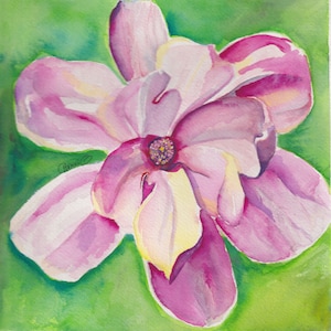 Magnolia Flower Botanical Original Watercolor Gouache Painting 8x8