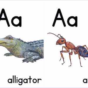 Animales y objetos de la naturaleza, Arte de acuarela del alfabeto, ARCHIVOS DIGITALES, Recursos didácticos naturales, Decoración de pared para la educación en el hogar, Pósteres del alfabeto, Pre K