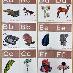 May include: A set of alphabet flashcards with illustrations of animals, plants, and objects. Each card features a letter, a picture, and the corresponding word. The letters are in uppercase and the words are in lowercase. The cards are printed on a brown background with a watercolor effect.