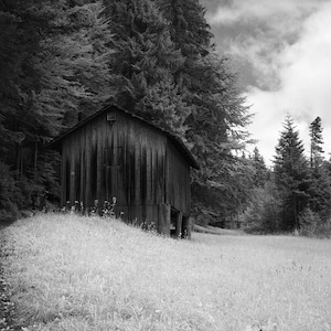Black and white photograph of a mountain cabin on Mount Pilatus in the Swiss Alps