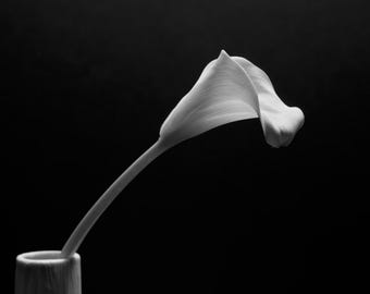 Calla Lily in Vase Print, Black and White Still Life Photography, Floral Wall Art, Hand-Signed Fine Art Print