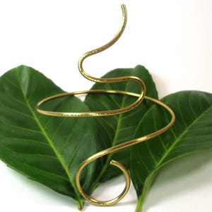 Peut inclure: Un bracelet en métal doré avec un design en spirale. Le bracelet est posé sur un lit de feuilles vertes.