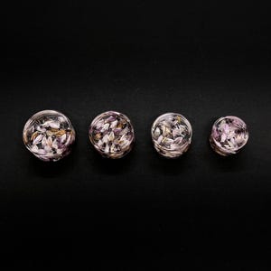 May include: Four clear, round plugs with a floral design, each containing small, light purple and gold-colored petals. The plugs are arranged in a row against a black background, showcasing the intricate details of the botanical inclusions.