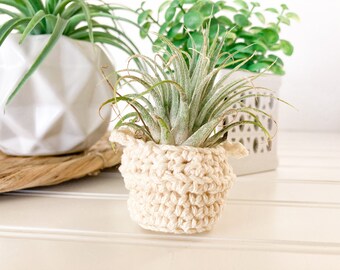 CROCHET PATTERN / Air Plant Basket Holder / Easy crochet belly basket basket