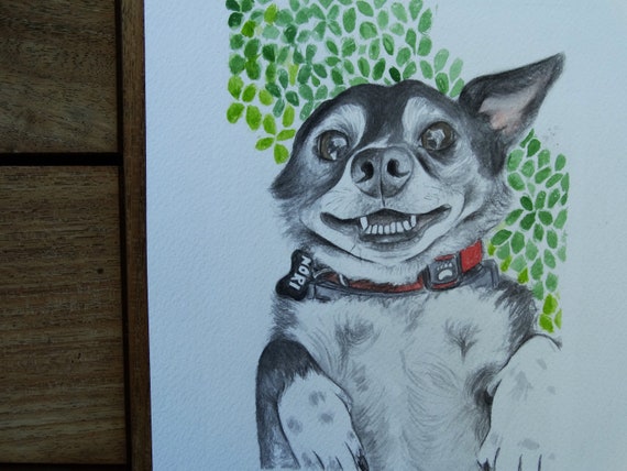 Custom/Unique Watercolor Painting Of Your Dog/Cat/Bird/Frog. | Etsy Canada