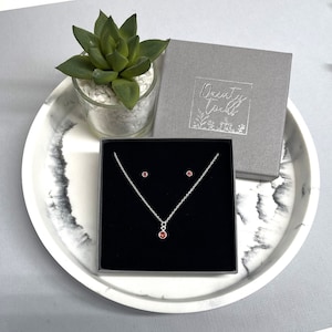 Può includere: Un set di collana e orecchini in argento con pietre rosse, presentato in una scatola nera. La scatola è su un vassoio di marmo, con una piccola pianta succulenta e una scatola regalo grigia con il testo "Dainty Toots".