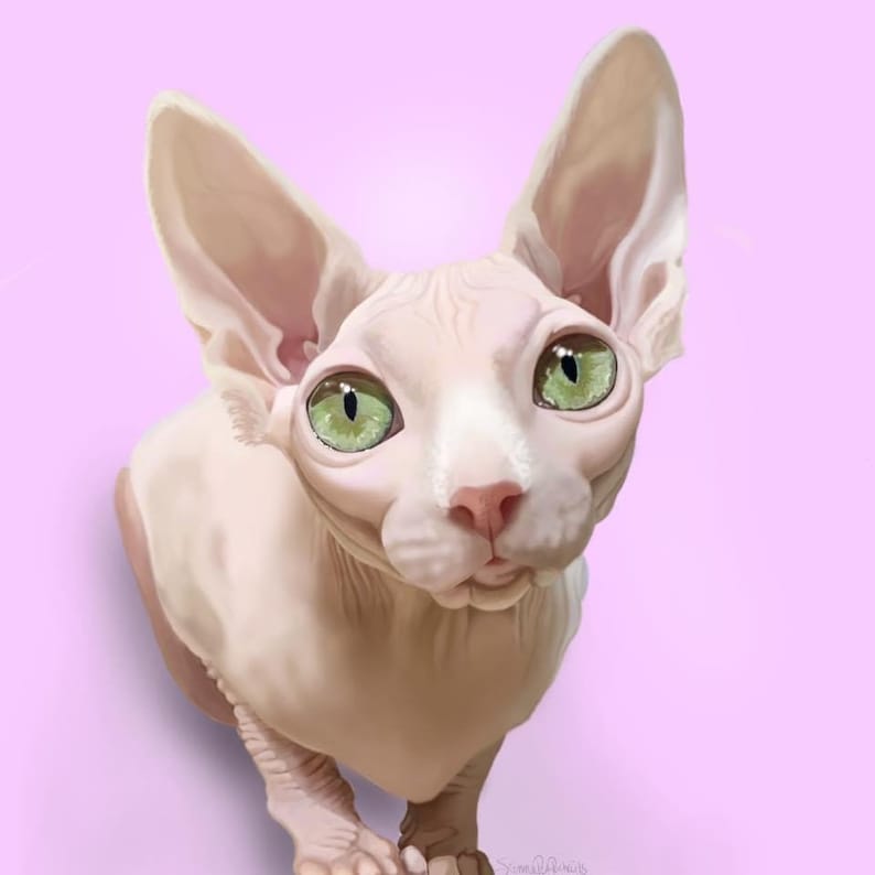 Custom Digital Painting, Realistic Pet Portrait Illustration, Digitally Painted by Hand, Personalized Artwork, Wall Art, Digital Download image 3