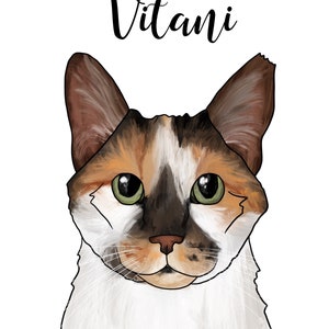 Custom Pet Portrait Illustration, Digital Watercolor Painting, Cute Cartoon Drawing of your Dog or Cat, Personalized Name, Print or Download image 4