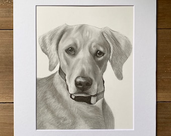 Pet Portrait Drawing, Custom Graphite Portrait of your Dog, Cat, Animal Art, Handmade, Hand Drawn Artwork, Pencil Sketch on Paper, Original