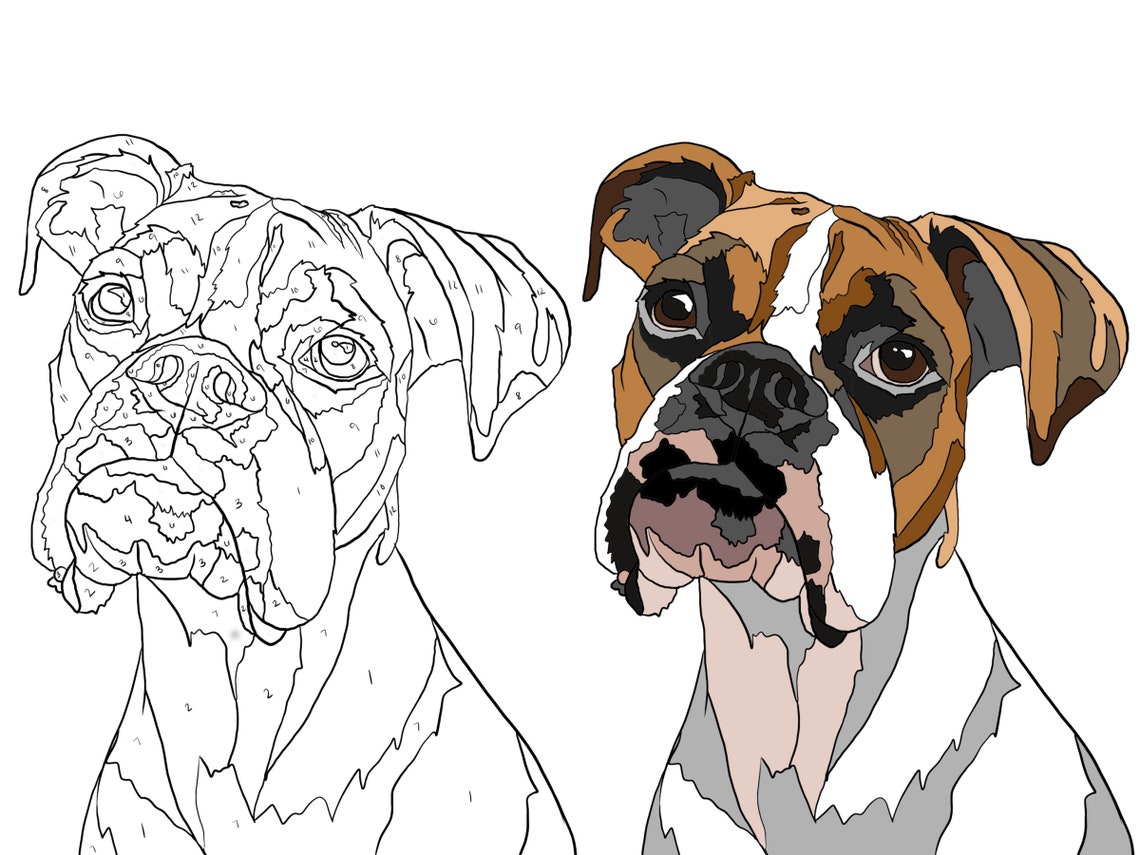 You Paint Your Pet Paint by Number on Canvas of your Dog Etsy