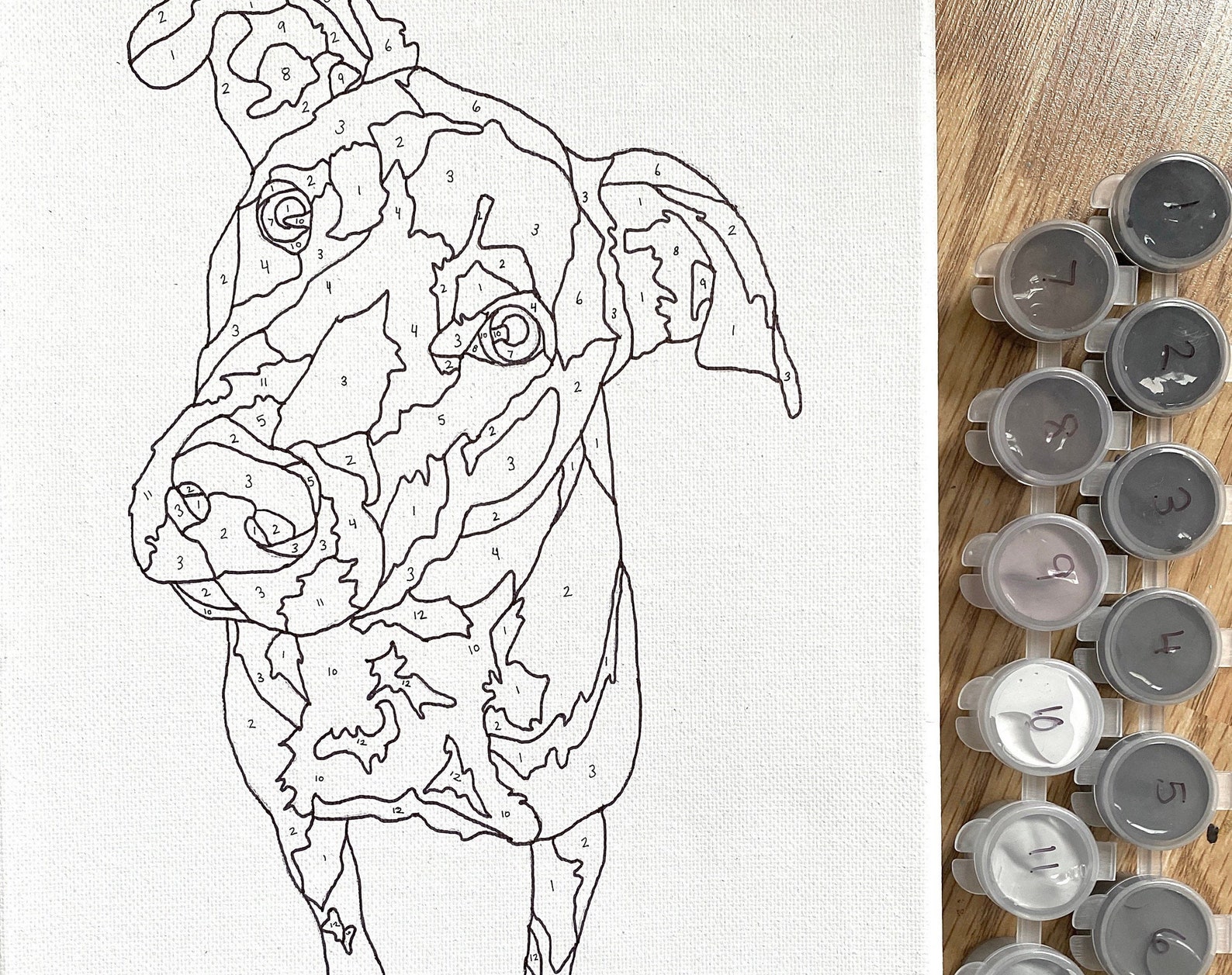 You Paint Your Pet Paint by Number on Canvas of your Dog Etsy