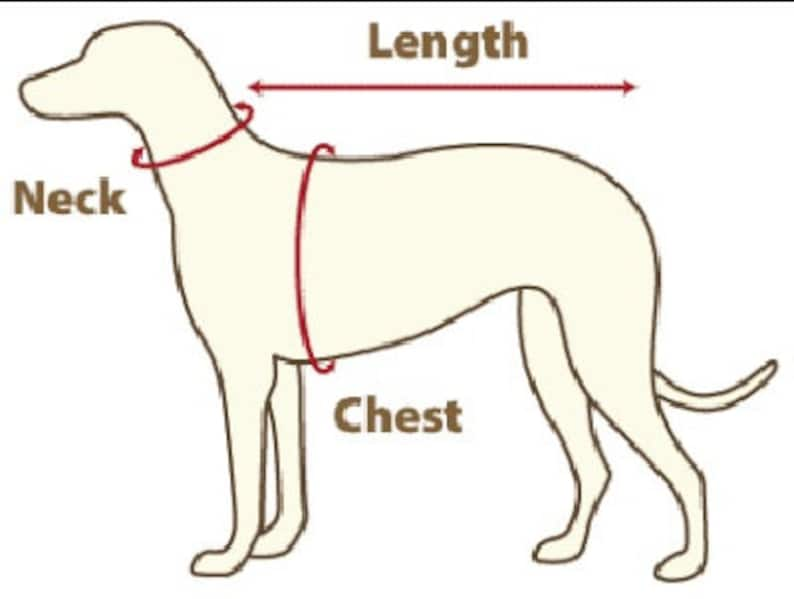 Hondentrui voor Valentijnsdag, Cardigan voor honden felroze kleur, Trui voor hond en kat, Kleding voor kleine hond, Roze hondenjas afbeelding 7