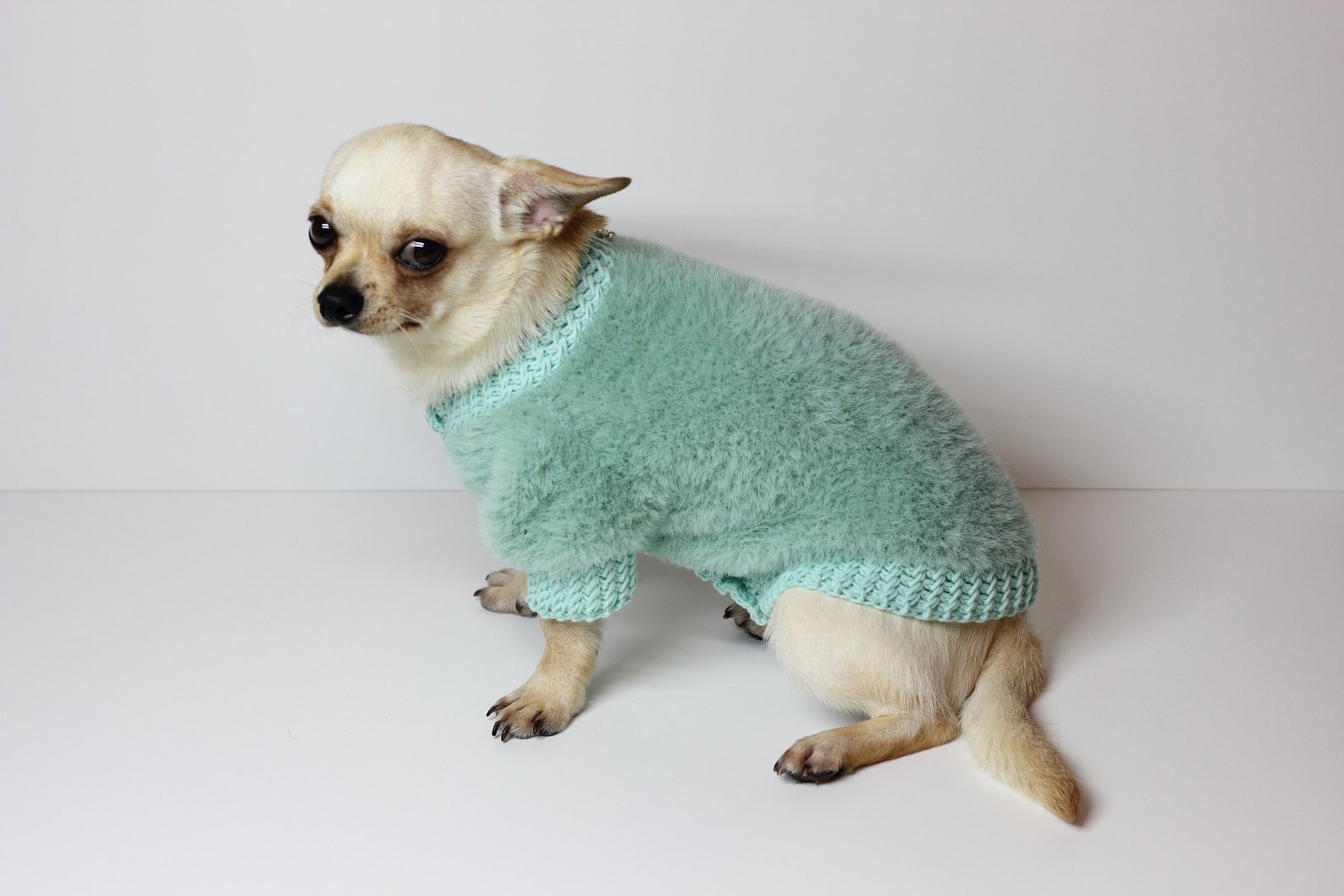 Fur sweater for a dog mint color Fur coat for dogs Sweater for Etsy