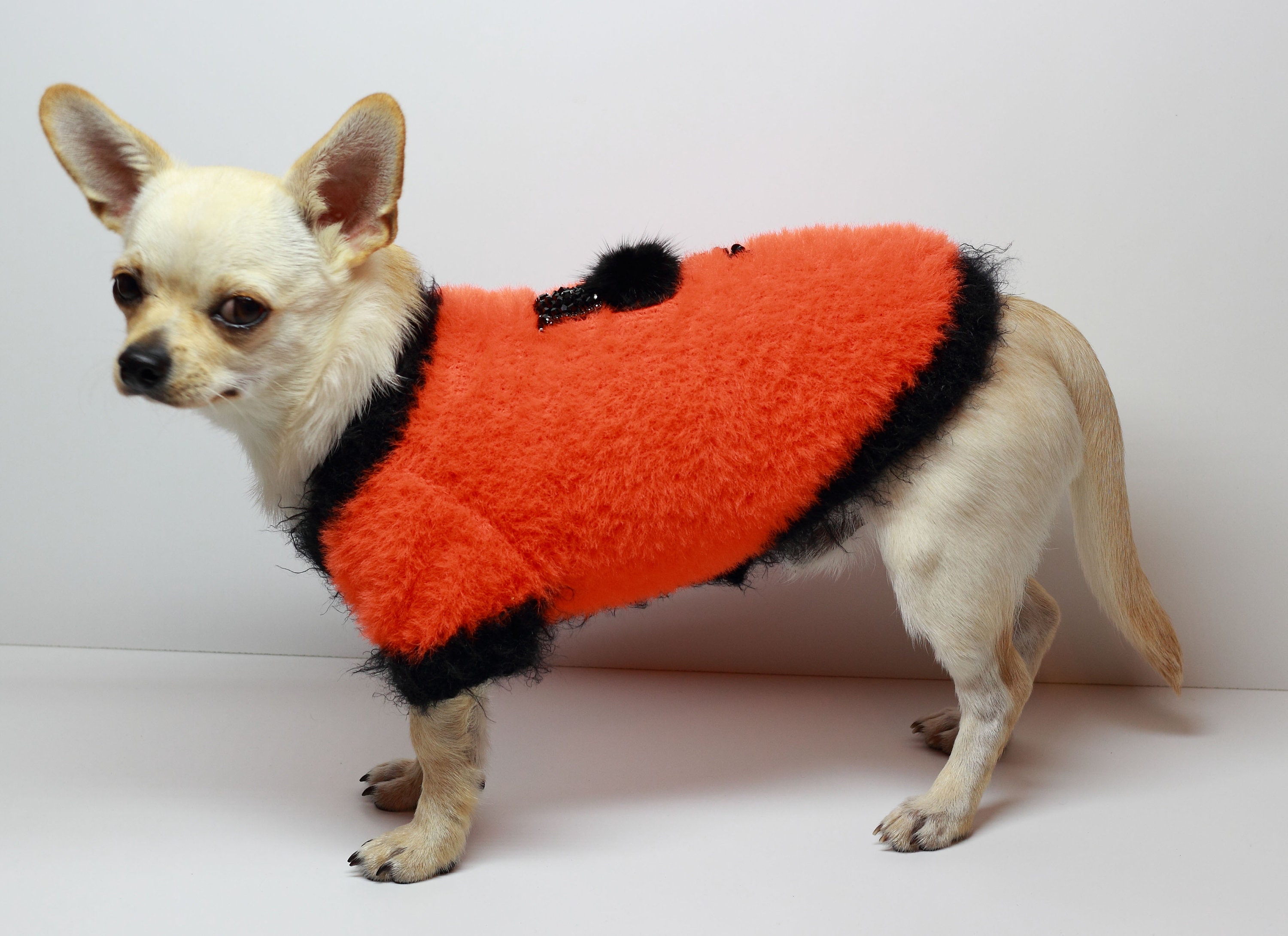 Halloween dog sweater Sweater for dogs Fur coat for dogs Dog Etsy