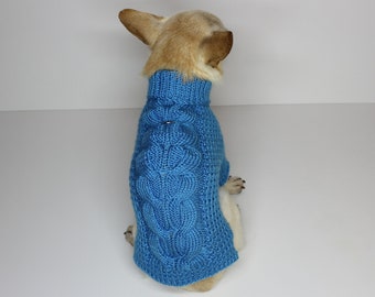 May include: A small dog wearing a blue knitted sweater with a cable knit pattern. The sweater has a turtleneck.