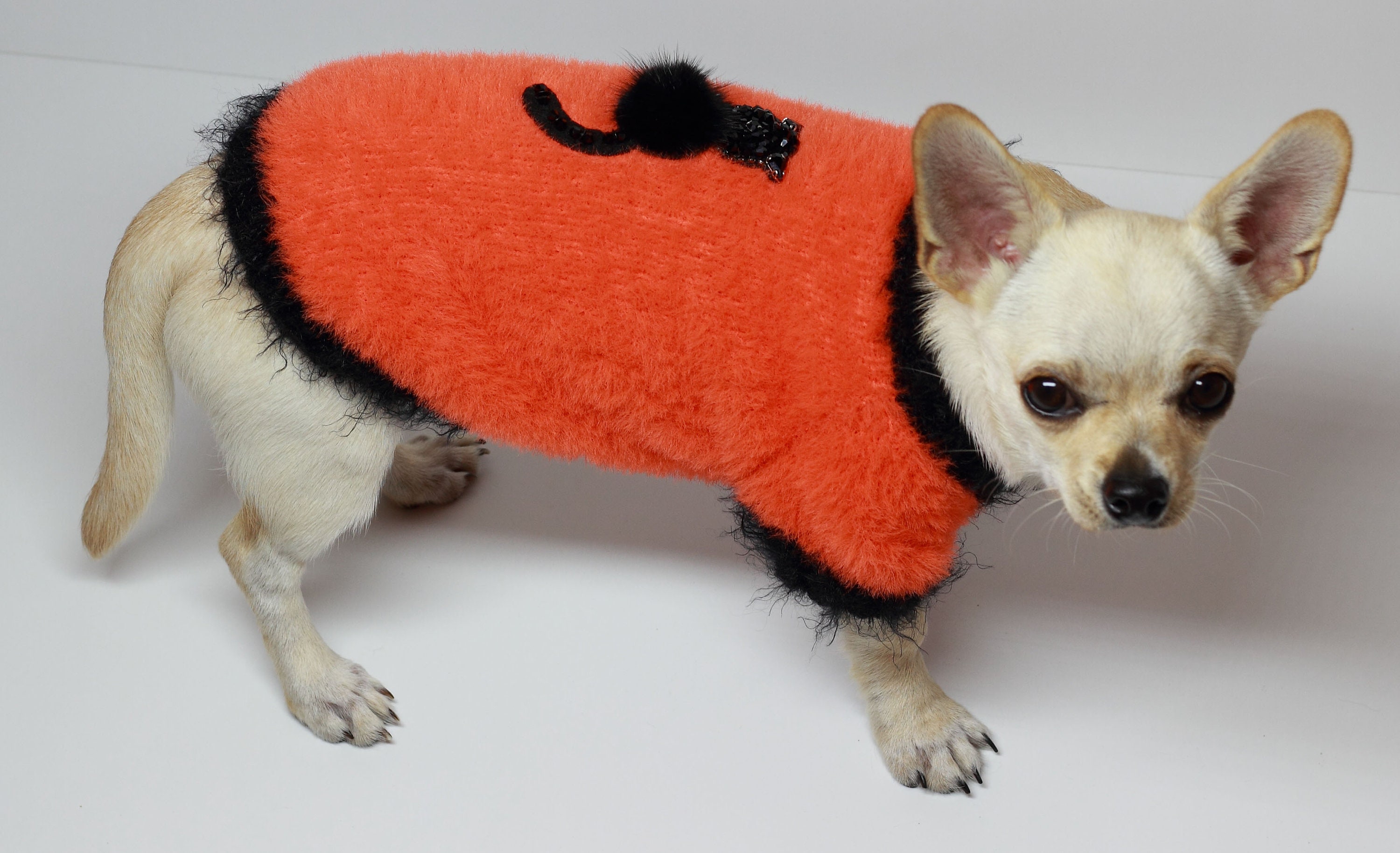 Halloween dog sweater Sweater for dogs Fur coat for dogs Dog Etsy