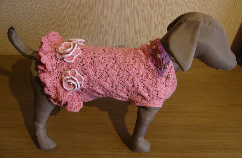 Dress for dogs Clothes for small dogs on order Sweater for Etsy