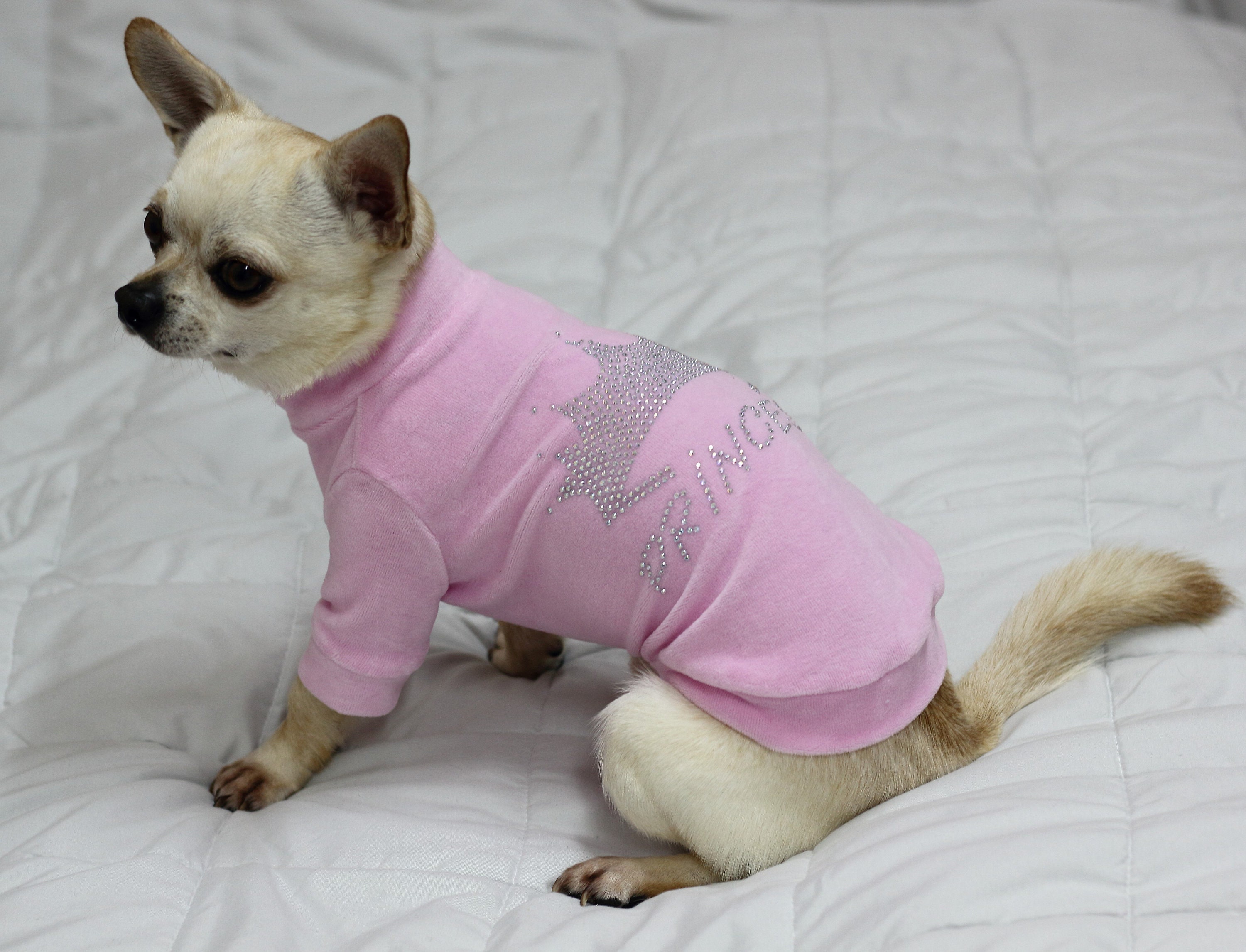 Velour hotsell dog sweater