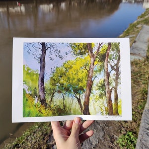 Pini dalmati, stampa artistica da parete in Croazia, arredamento per la casa, paesaggio europeo naturale, opera d'arte con alberi della foresta, pini verdi, viaggio nel Mediterraneo