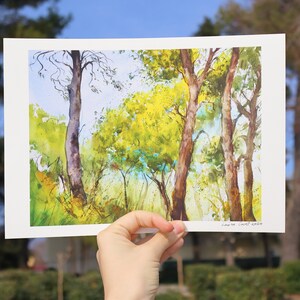 Pini dalmati, stampa artistica da parete in Croazia, arredamento per la casa, paesaggio europeo naturale, opera d'arte con alberi della foresta, pini verdi, viaggio nel Mediterraneo