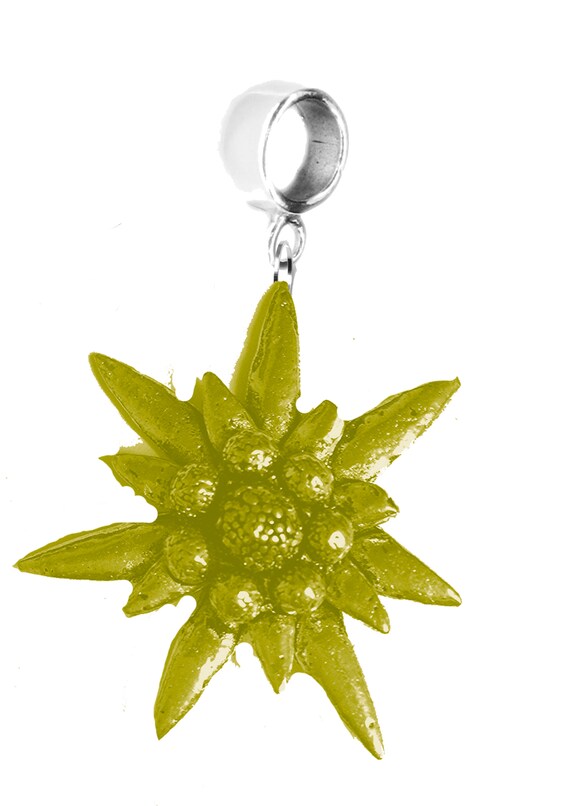 Pandora edelweiss charm deals