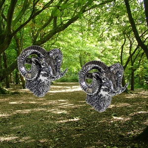 May include: A pair of silver-toned ram head cufflinks. The ram heads are detailed with horns and facial features.