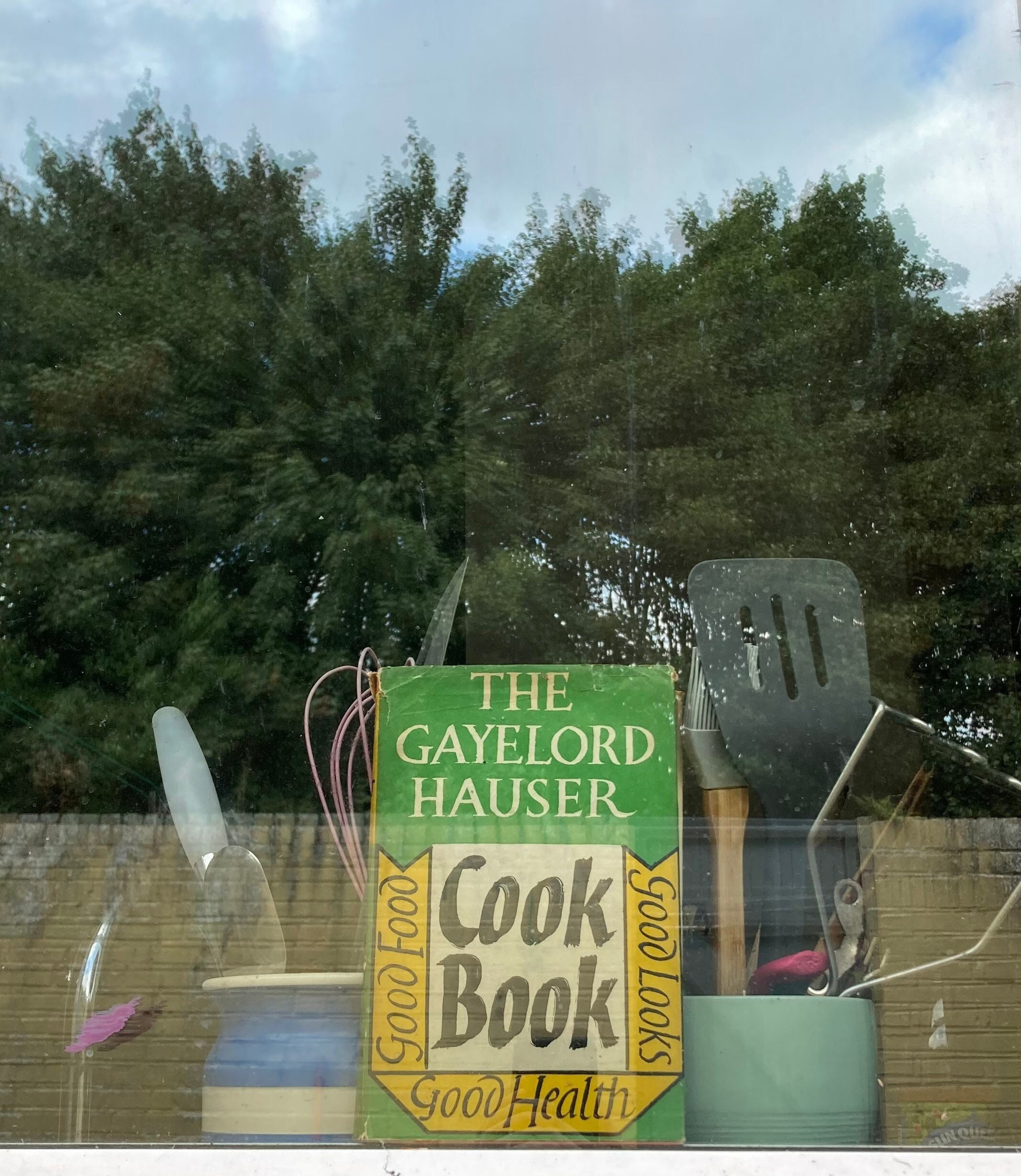 The Gaylord Hauser Cook Book (Hardcover 1963) by Gayelord Hauser