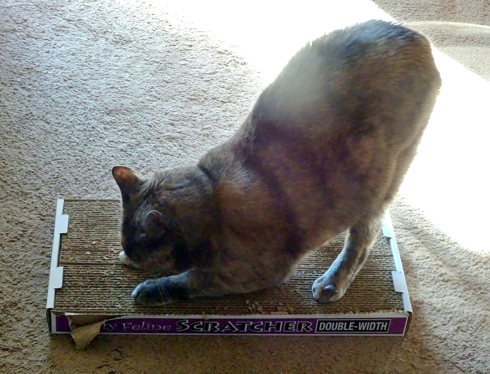 Nifty Feline Scratcher Biodegradable Recycled Doublewide Cardboard Cat Scratchers made in