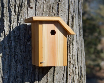 Pigmy Nuthatch - Cedar bird house