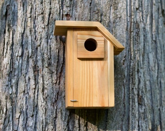 Western Bluebird - Cedar bird house