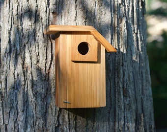 Mountain Bluebird - Cedar bird house