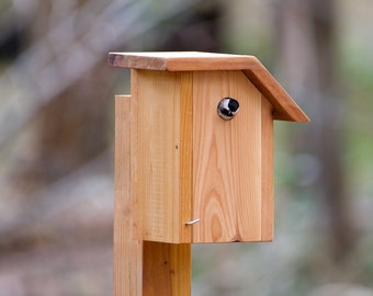 Chickadees - Cedar bird house