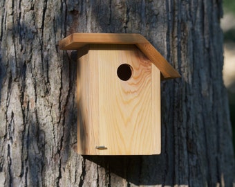 Prothonotary Warbler - Cedar bird house