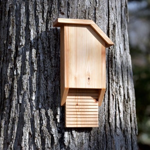 Cedar Bat House S