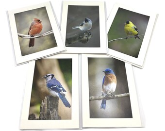 Birds from New Jersey - Greeting cards