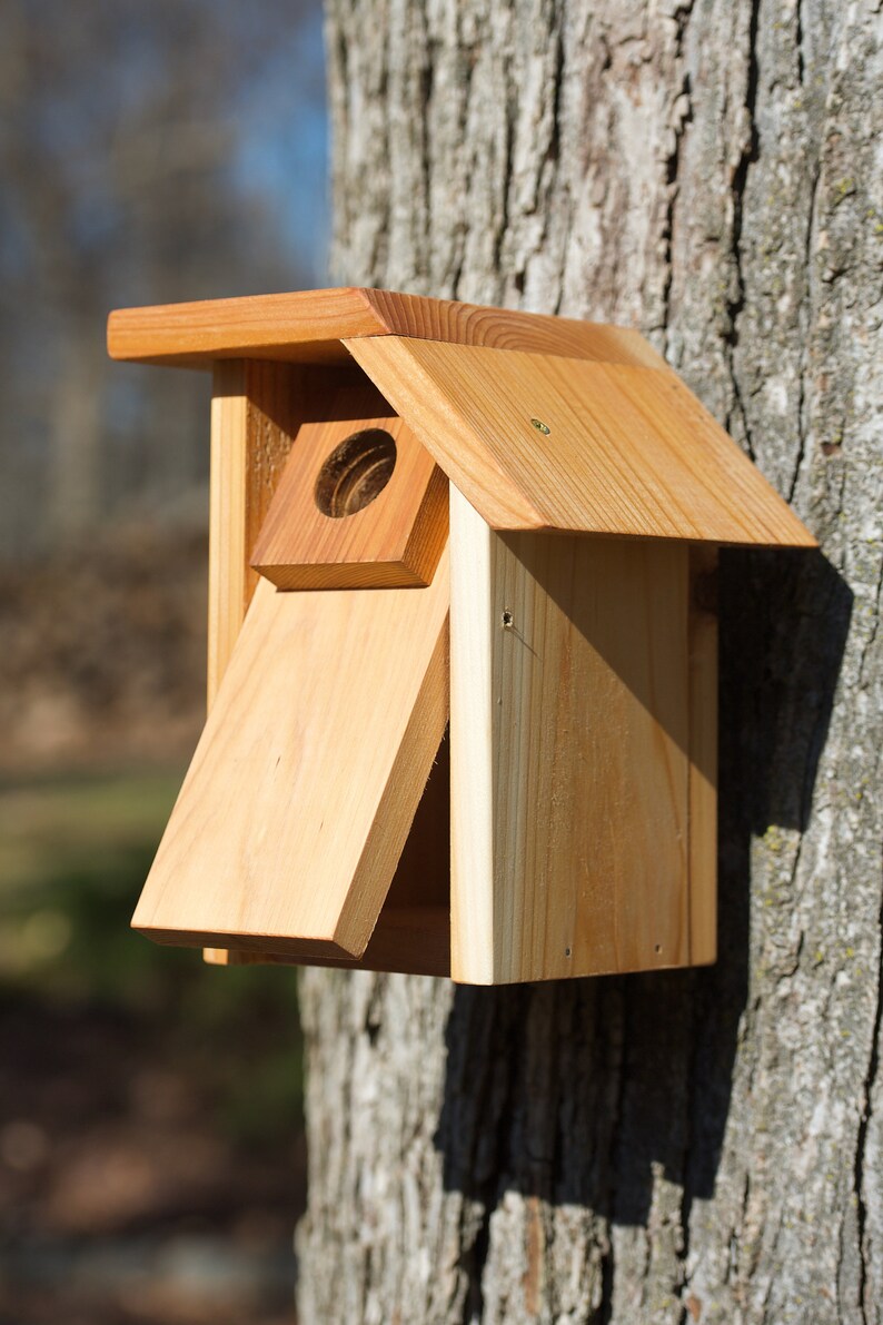 Eastern Bluebird Cedar bird house Etsy