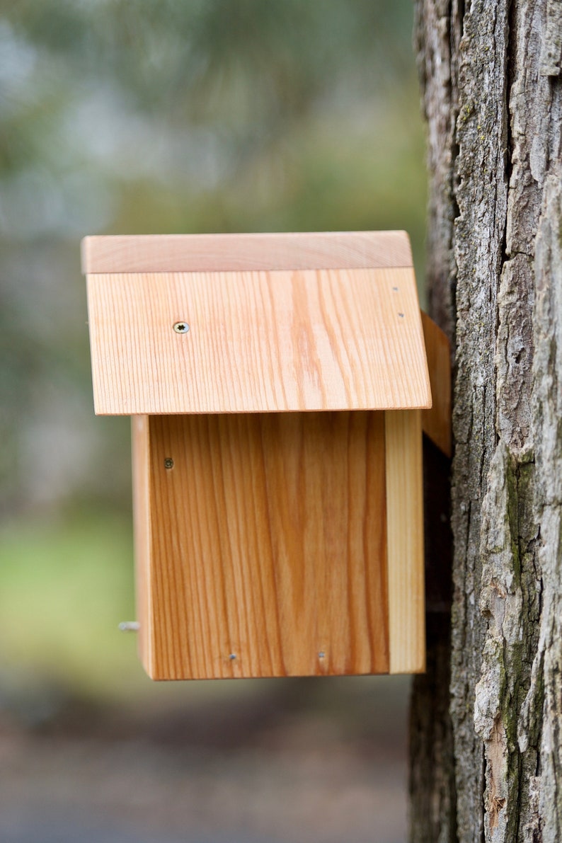 Tree Swallow Cedar bird house Etsy