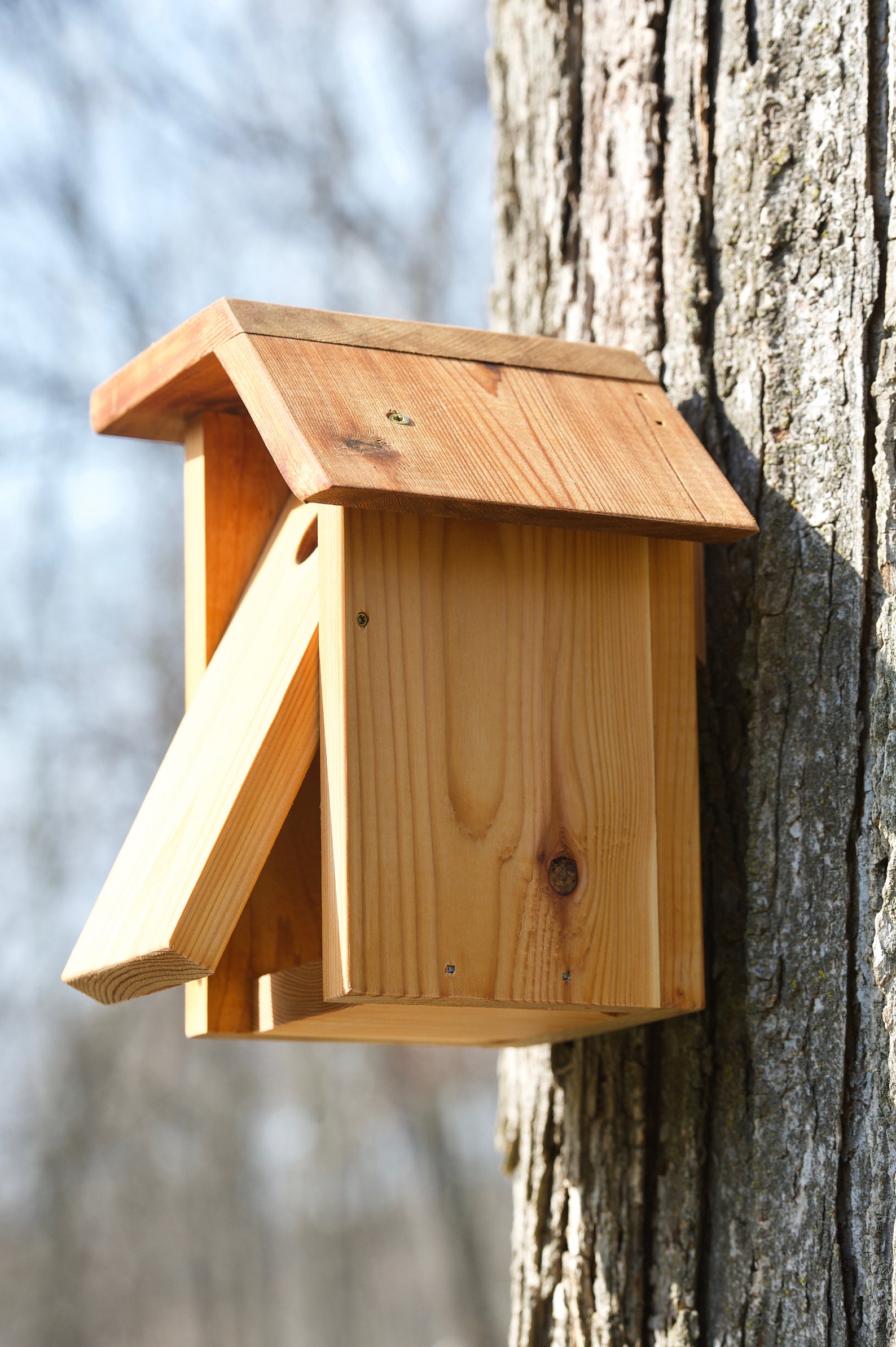 Black capped Chickadee Cedar Bird House Etsy Black capped Chickadee Cedar Bird House Etsy
