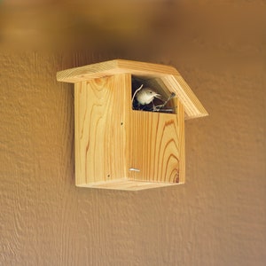 Carolina Wren - Cedar bird house