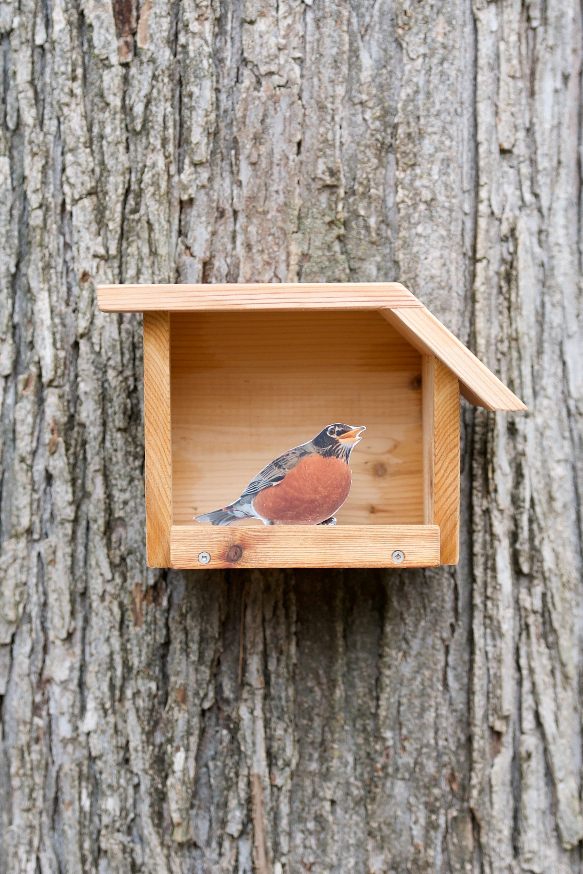 Plans For A Robin Nest Box